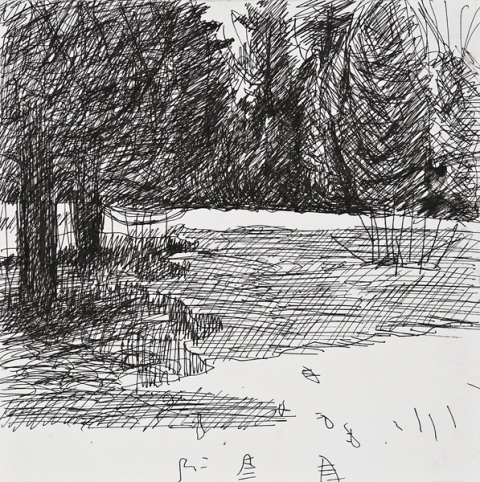 Woods Drawings 2010-2014 Ink on paper