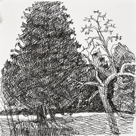 Woods Drawings 2010-2014 ink on paper