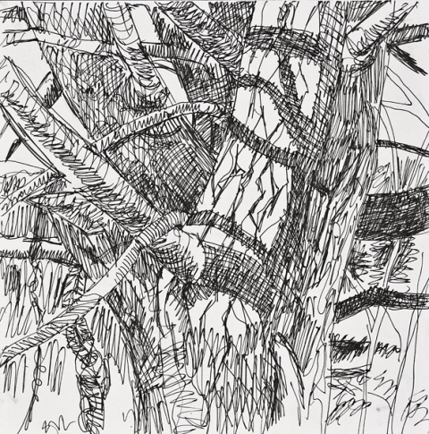 Woods Drawings 2010-2014 ink on paper