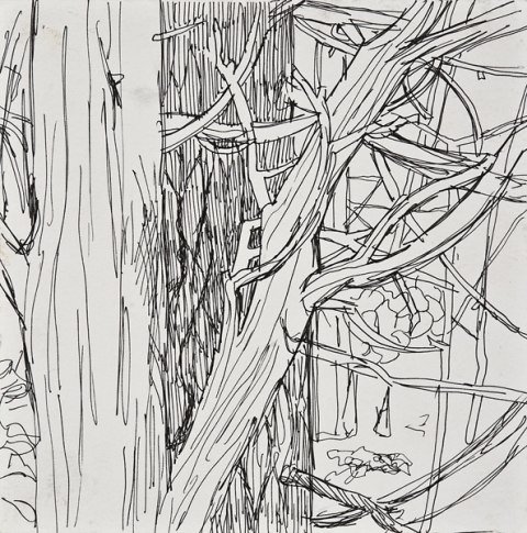 Woods Drawings 2010-2014 ink on paper