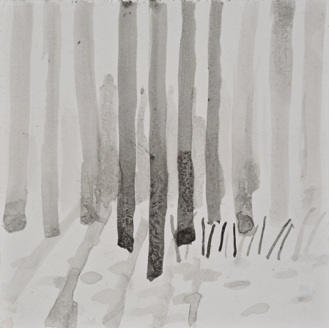 Woods Drawings 2010-2014 ink on pqper