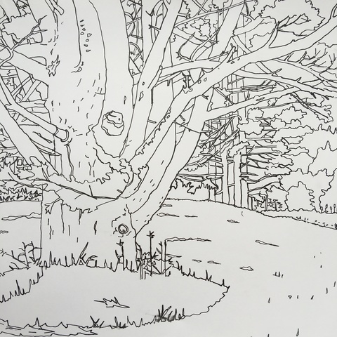 Habitat Drawing Project ink on paper