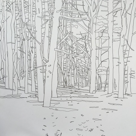 Habitat Drawing Project ink on paper