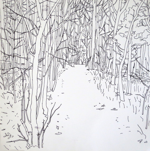 Habitat Drawing Project ink on paper