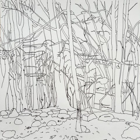 Woods Drawings 2010-2014 ink on paper