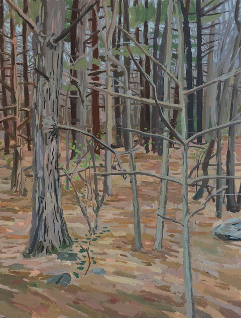 Woods Paintings, 2017 acrylic gauche on panel