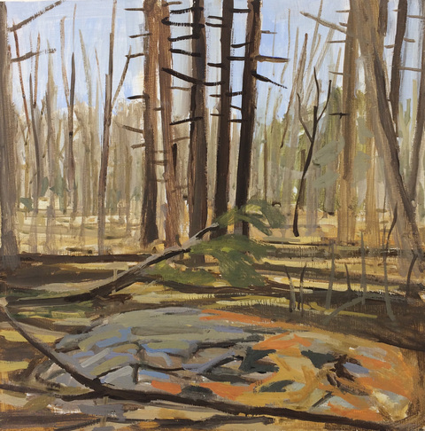 Woods Paintings, 2017 acrylic gauche on panel