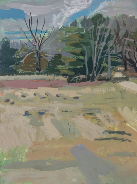 Woods Paintings, 2017 acrylic gauche on panel