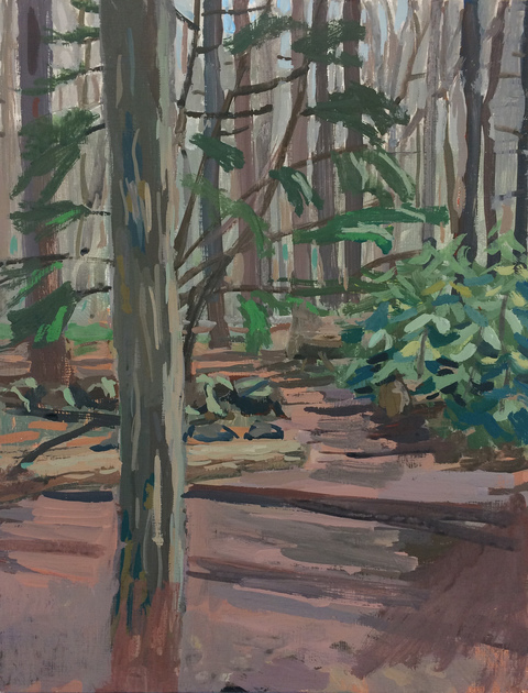 Woods Paintings, 2017 acrylic gauche on panel