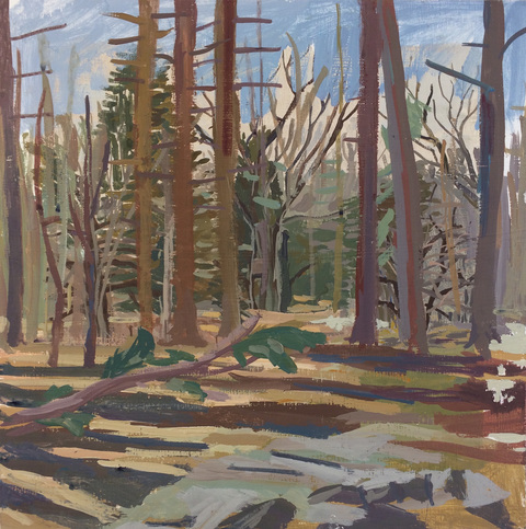 Woods Paintings, 2017 acrylic gauche on panel