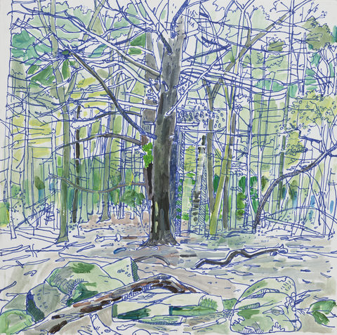 Color Hold Woods Drawings, 2018 Ink and acrylic on paper glued to panel
