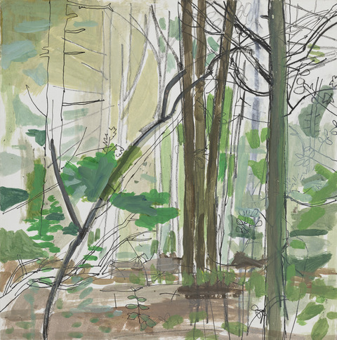 Cutting Squares Woods Drawings, 2018 Ink, charcoal, pencil and acrylic on paper glued to panel