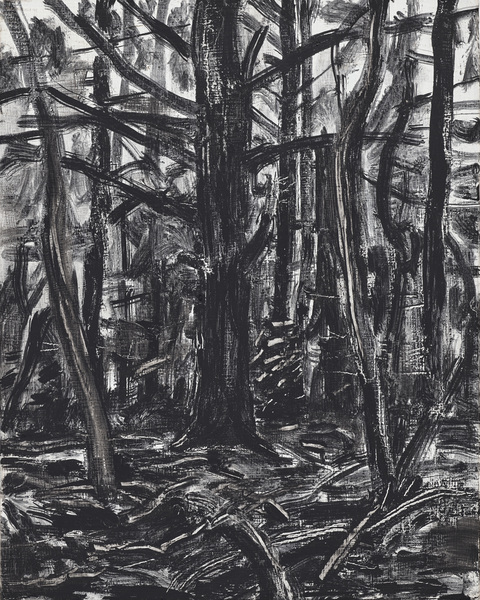 Inky Black Woods Woods Drawings, 2018 oil on panel