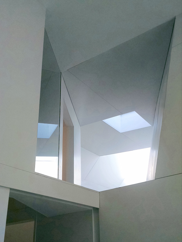 Epiphany Skylight in Bathroom O'Neill McVoy Architects Clinton Hill Courtyard House