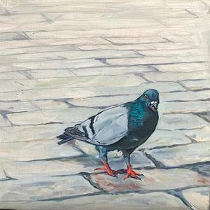 BORZOTTA ARTS-Art/Classes/Events/Networking Lynda D'Amico: For The Love of Pigeons Oil on canvas