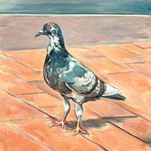 BORZOTTA ARTS-Art/Classes/Events/Networking Lynda D'Amico: For The Love of Pigeons Oil on canvas