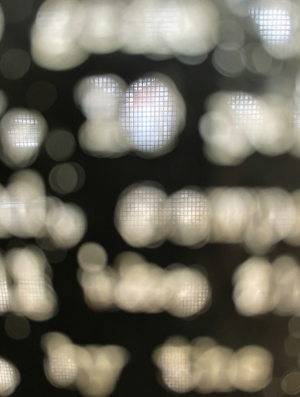 Words as screens #3 Pat Shannon Photo Objects 11"h x 8"w