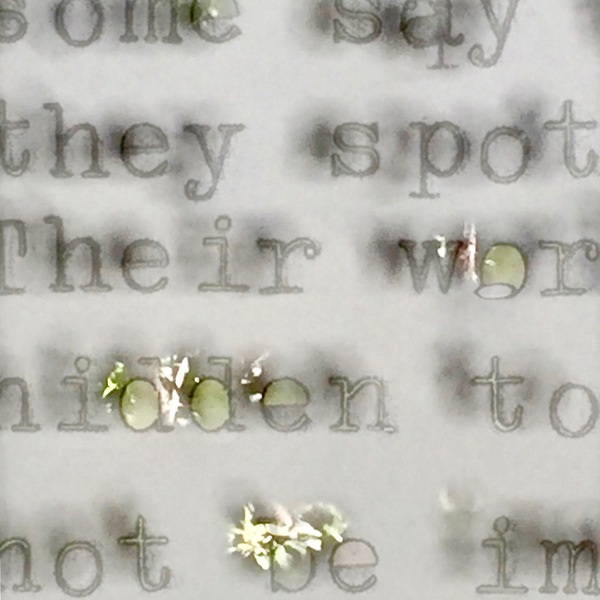 Words as screens: Pingelap Pat Shannon Photo Objects