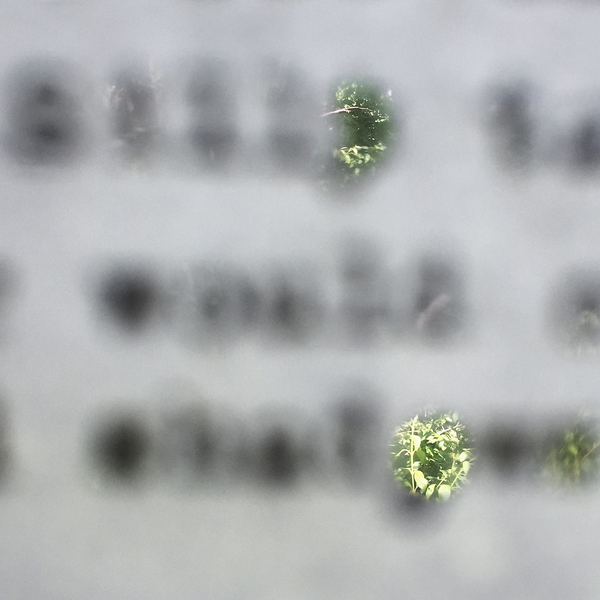Words as screens #2 Pat Shannon Photo Objects 13"h x 13"w