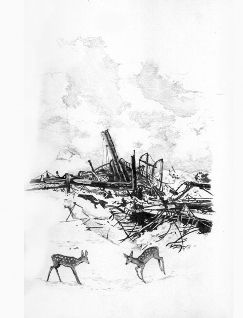 Slow Motion Disaster Series Patte Loper Antarctica graphite on paper