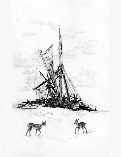 Slow Motion Disaster Series Patte Loper Antarctica graphite on paper