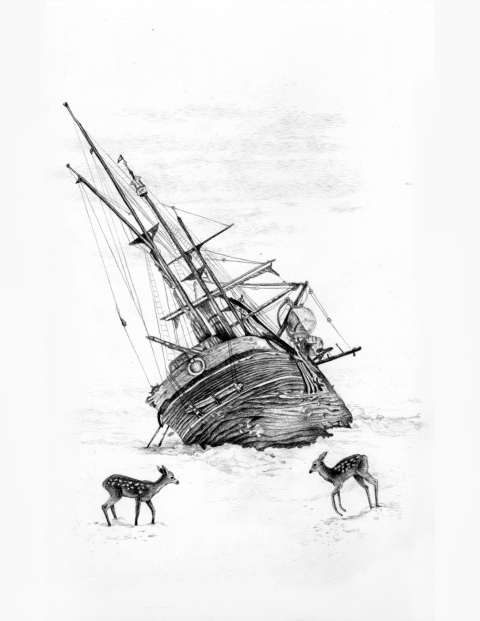 Slow Motion Disaster Series Patte Loper Antarctica graphite on paper