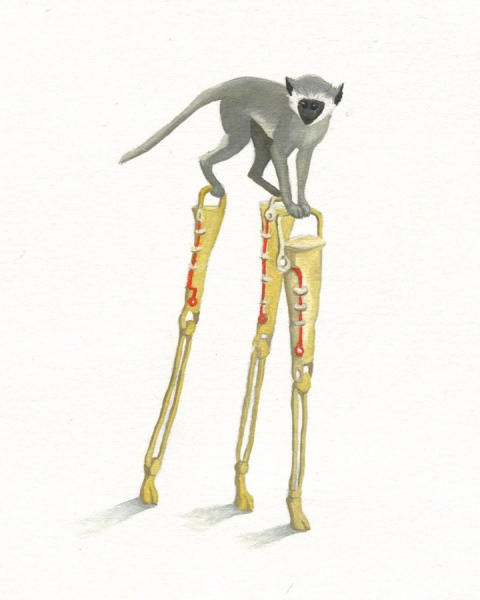 Monkey Legs Patte Loper When Animals Build oil on paper