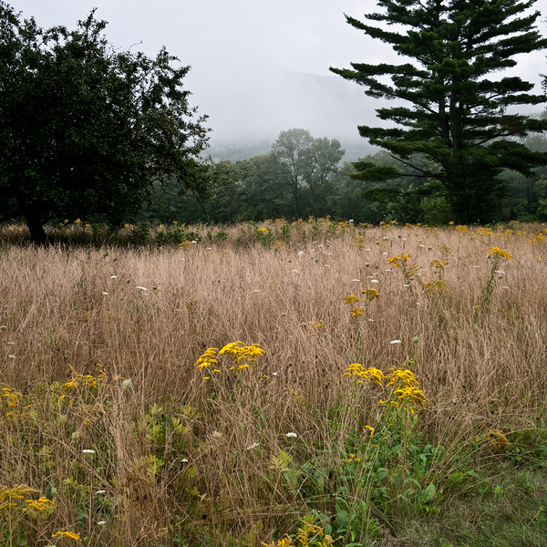 Gibbs Farm PETER SZAWLOWSKI Bronson Hill Digital Photograph