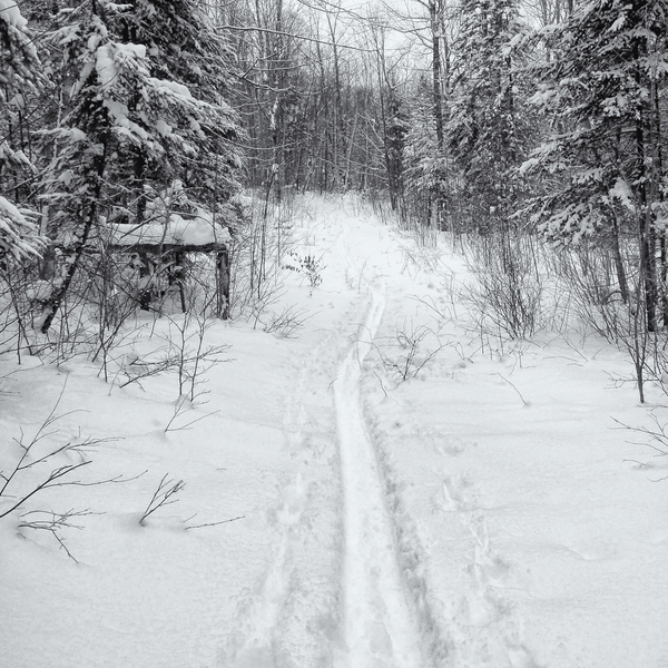 Deep January PETER SZAWLOWSKI Bronson Hill Digital Photograph