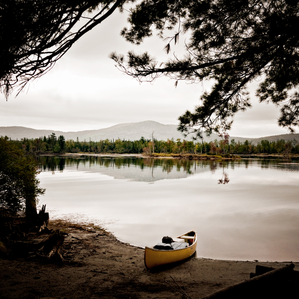 The sounds of geese gathering ... PETER SZAWLOWSKI Umbagog Digital Photograph