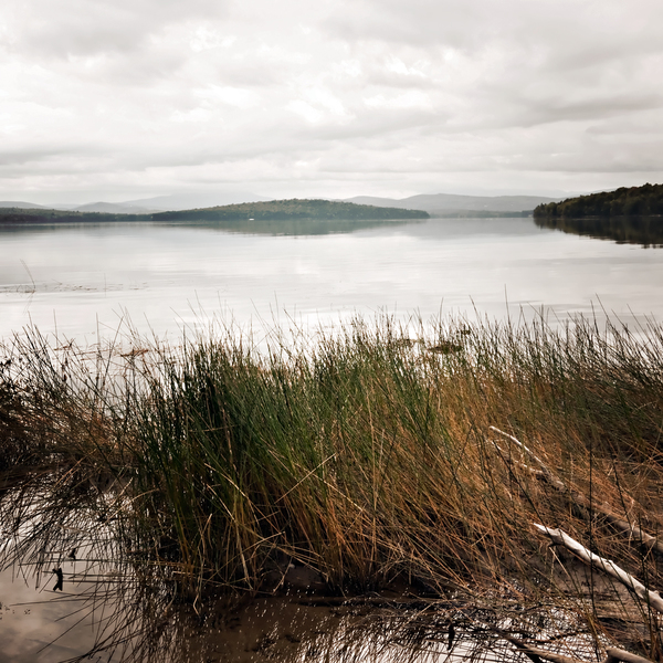 The voice of the Loon PETER SZAWLOWSKI Umbagog Digital photograph