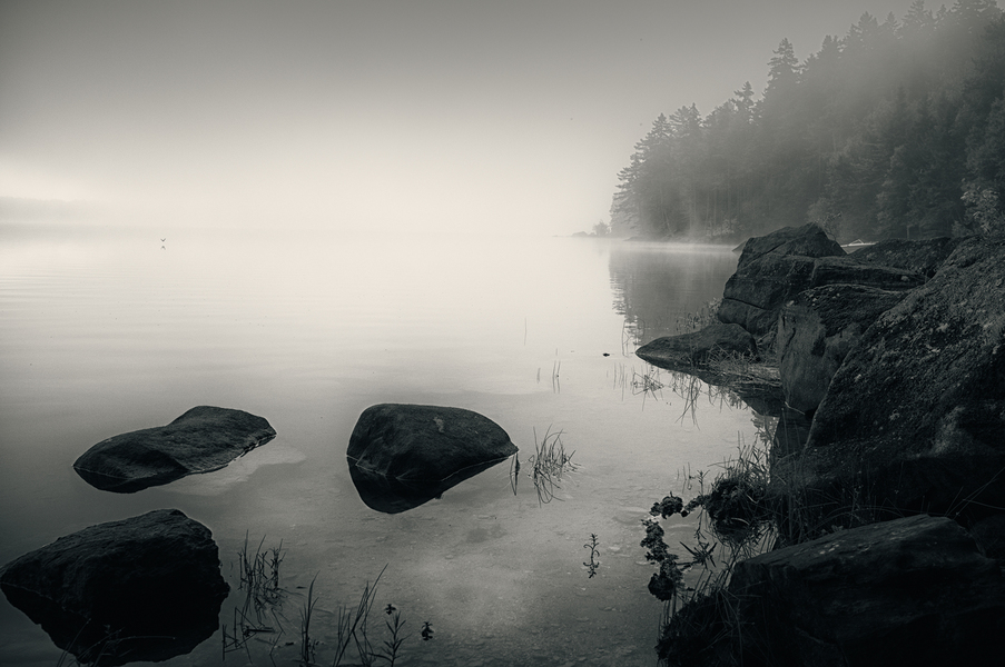 Morning Flight PETER SZAWLOWSKI Aciscohos