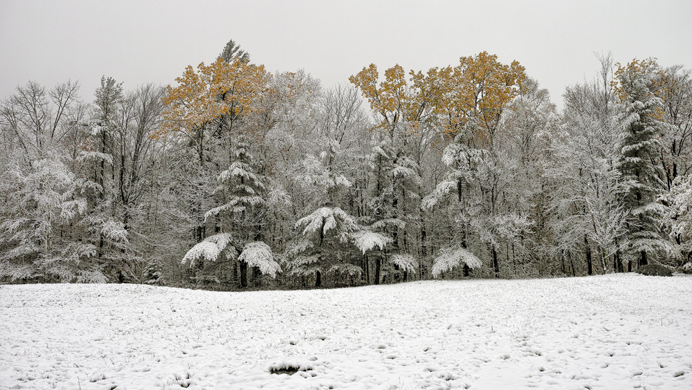 Snow Viewing - First Snowfall of the year PETER SZAWLOWSKI Bronson Hill