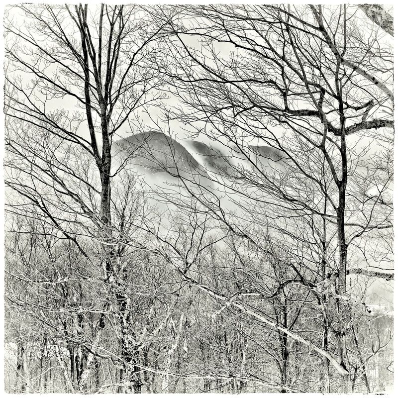Franconia Notch - Spring Snow PETER SZAWLOWSKI About Trees