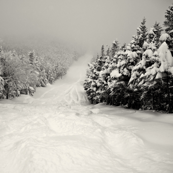 Absolutely still - Taft Slalom Trail, near the bottom of the first pitch PETER SZAWLOWSKI Cannon Mountain Digital Photograph