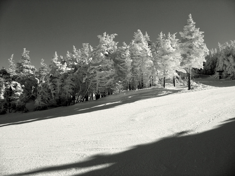 "Baby, It's Cold Outside" PETER SZAWLOWSKI Cannon Mountain Digital Photograph