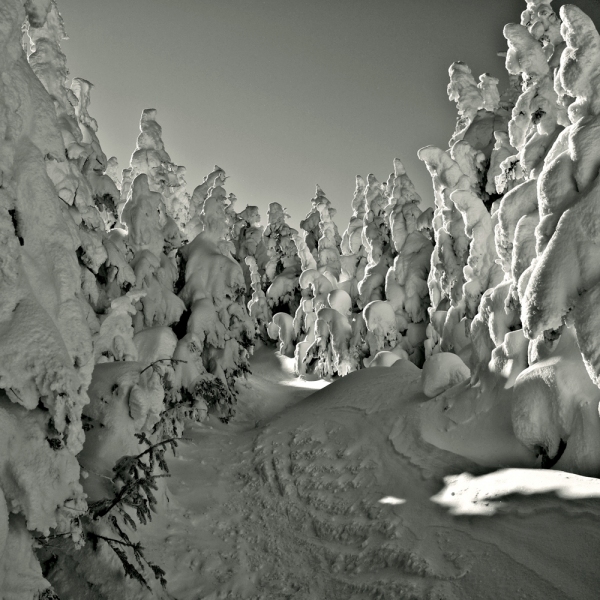 The Cold is our Element - The trail to the transmitter tower at the summit of Cannon Mountain. PETER SZAWLOWSKI Cannon Mountain