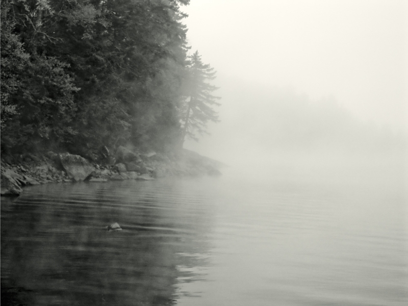 Form is emptiness, emptiness is form ... PETER SZAWLOWSKI Aciscohos