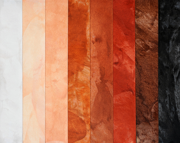 Skin Tone Chart: white, apricot, peach, tan, burnt sienna, mahogany, sepia, black Skin Tone Drawings crayon, color pencil, paper, on mixed media board
