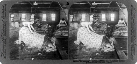Obeast Pelt Fat Scraping (Lawrence MA, 1910)