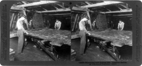 Obeast pelt stretching (Lawrence MA, 1910)