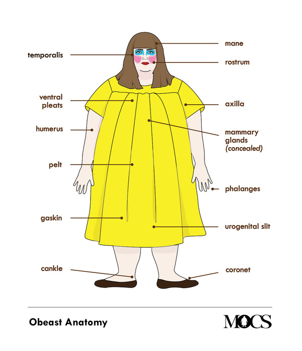 Obeast Anatomy Chart
