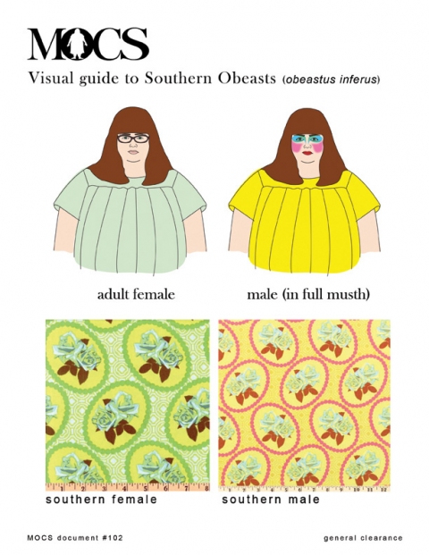 Visual Guide to Southern Obeasts 