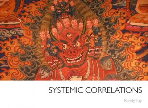 SYSTEMIC CORRELATIONS R A N D Y T O Y News softcover, glossy stock