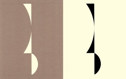 RICHARD CALDICOTT  Photogram and paper negative