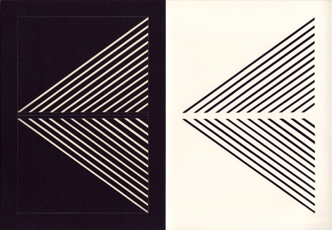 RICHARD CALDICOTT  Photogram and black paper negative