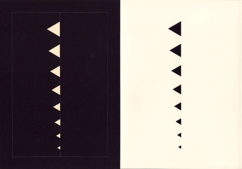 RICHARD CALDICOTT  Photogram and black paper negative