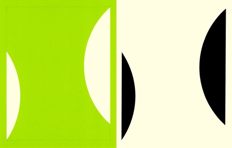 RICHARD CALDICOTT  Photogram and paper negative