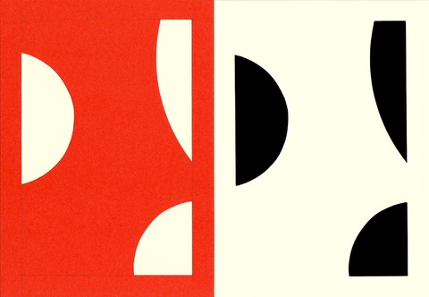 RICHARD CALDICOTT  Photogram and paper negative