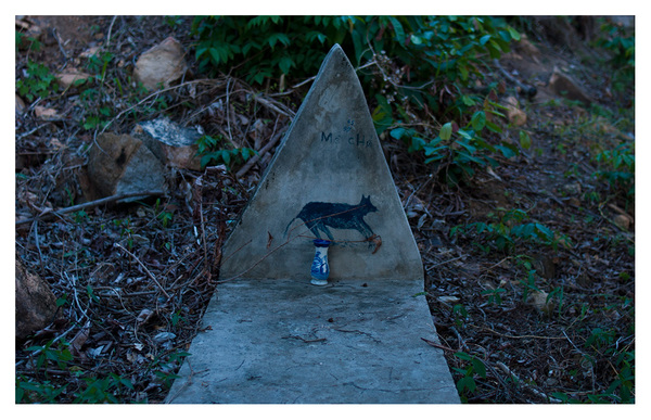 Level 3. Canine Internment RICHARD MARK DOBSON Path to Purgatorio
